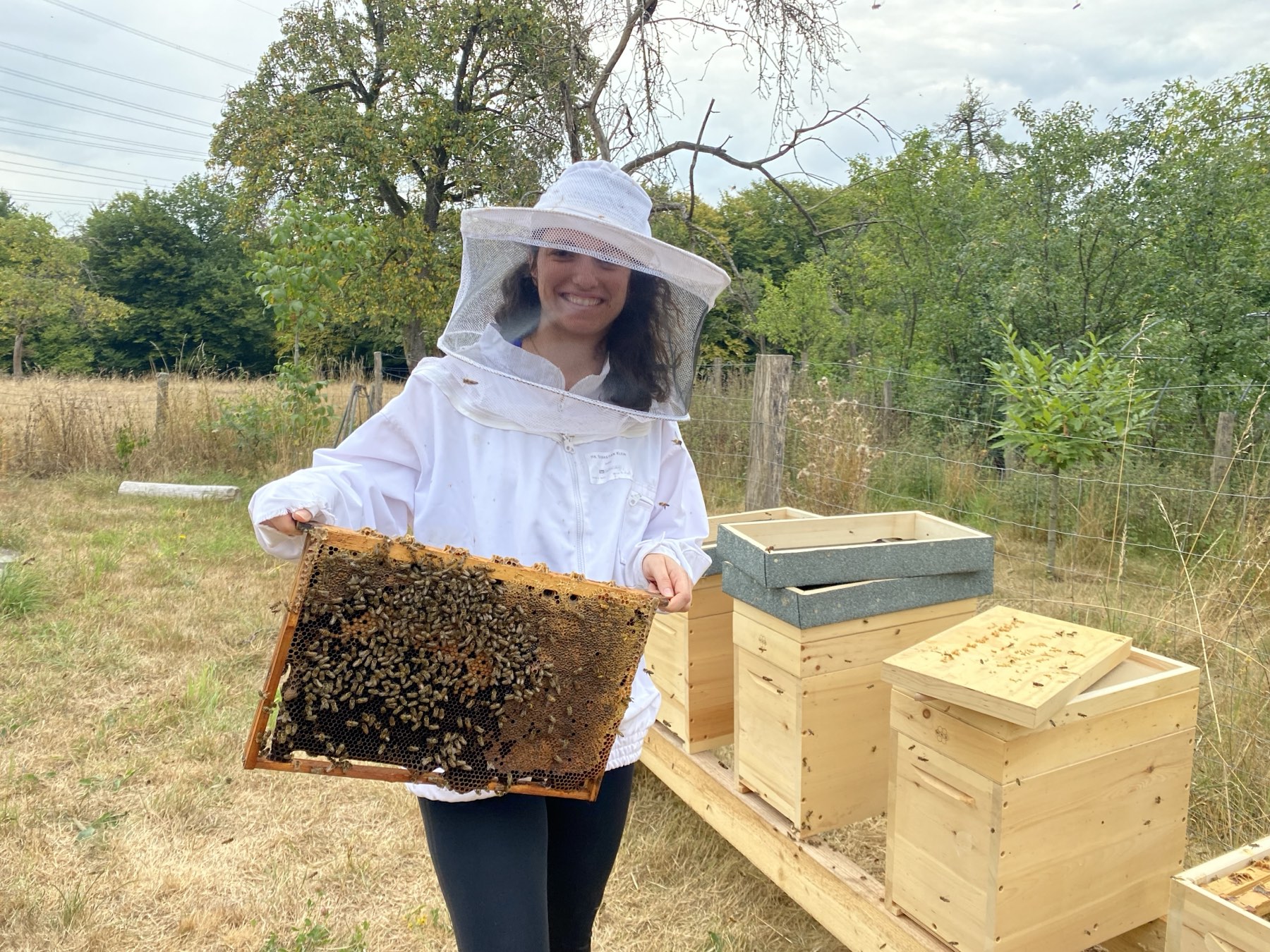 WWOOFerin im Imkeranzug hält eine besetzte Wabe vor den Bienenkästen.