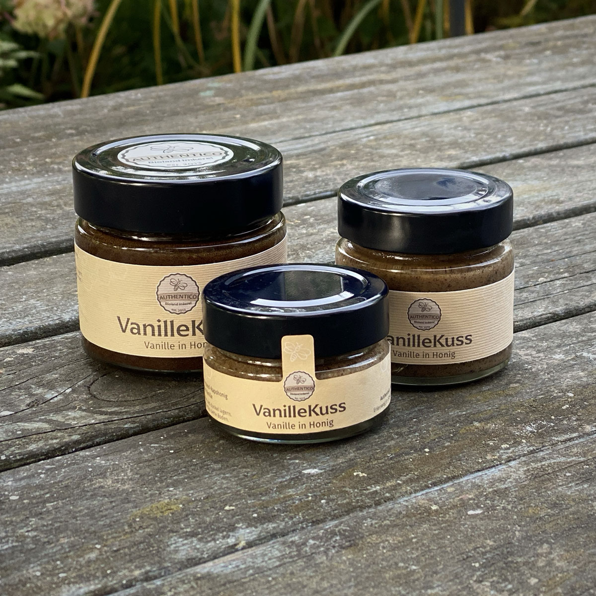VanilleKuss - feinste Bio-Vanille in Honig
