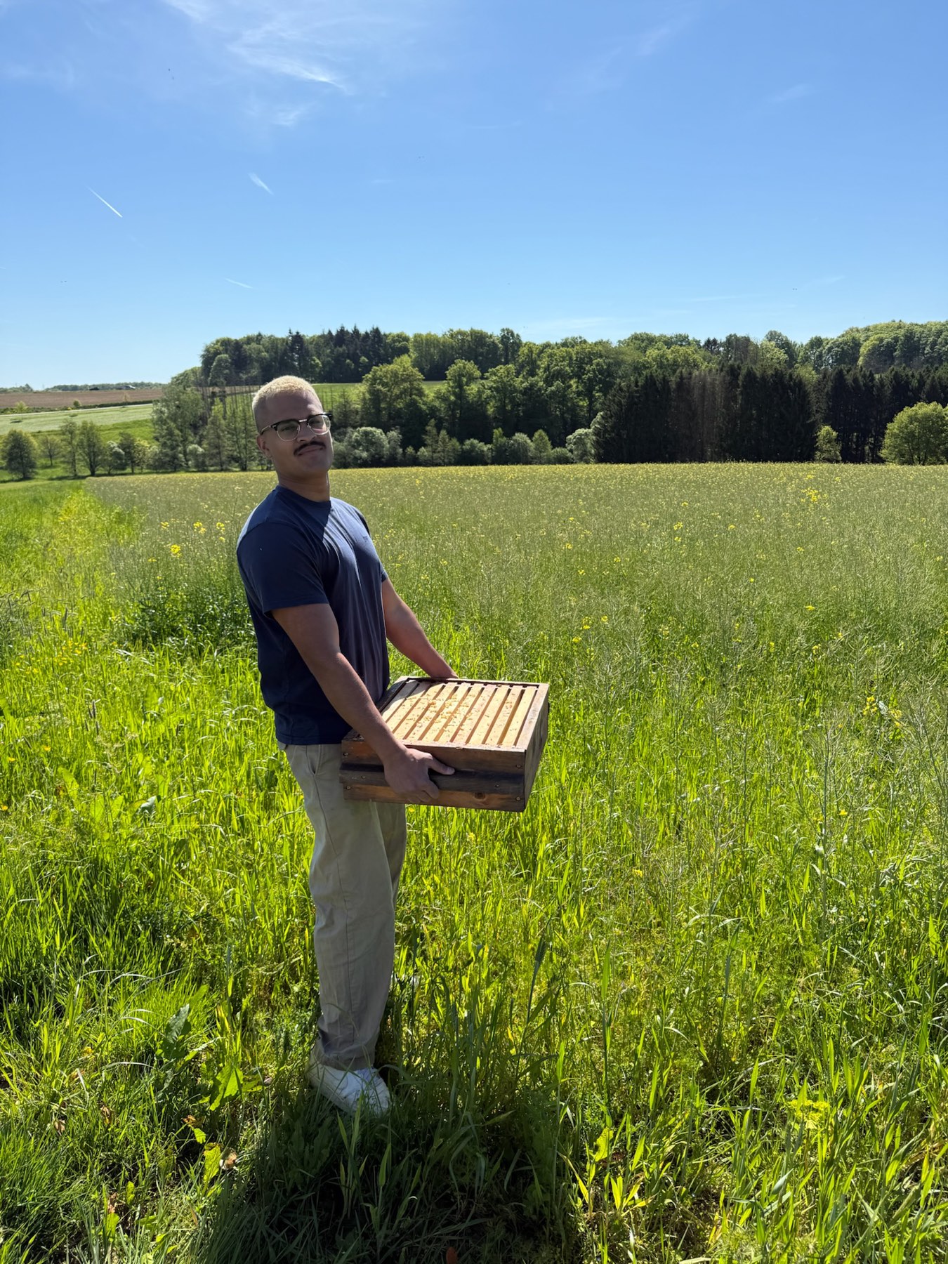 WWOOFer trägt eine Bienenbeute durch eine blühende Wiese.